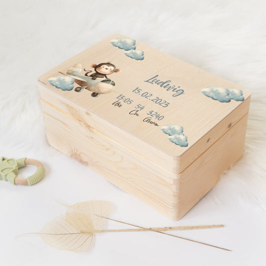 Erinnerungskiste Baby Affe im Flugzeug